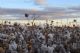 SSSS & Orchestra achter spot Ohpen