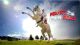 Ideale schoonzoon in campagne Vodafone