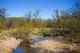 Nationale Beeldbank lanceert Nature in Stock