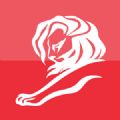 Het Cannes niet online