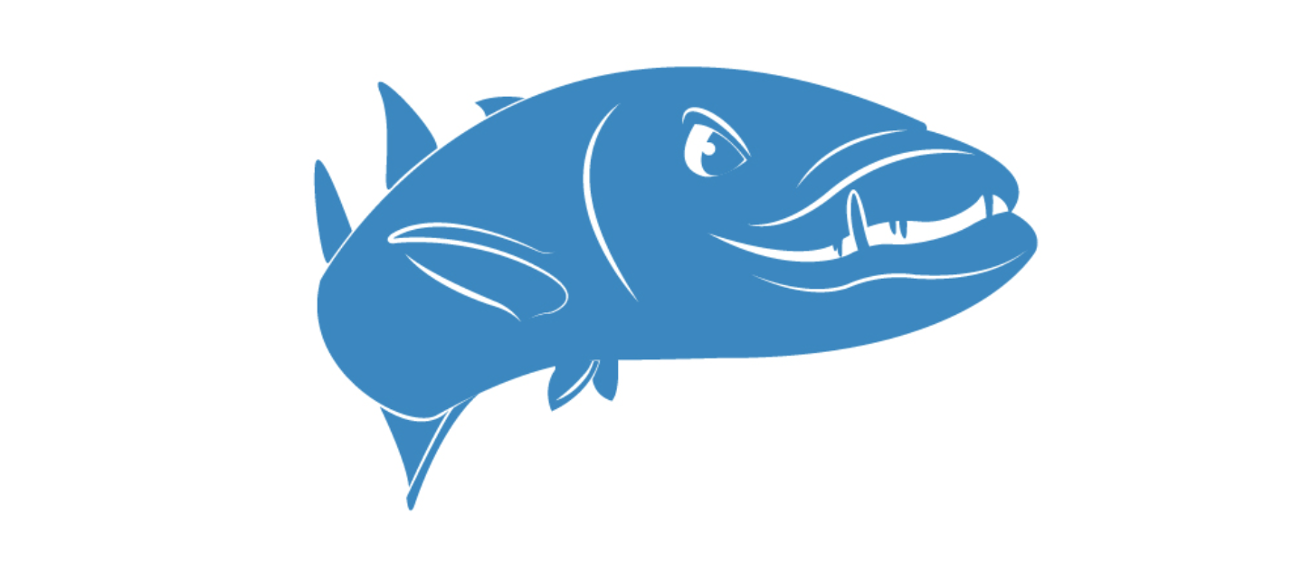 Barracuda Unincorporated goes BeNeLux