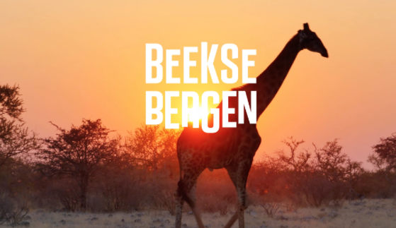 Today is Canday ontwikkelt nieuw merkconcept Beekse Bergen