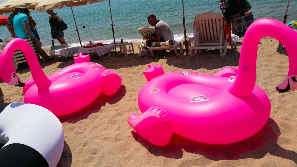 Ondertussen in Cannes 2: het jaar van de Flamingo