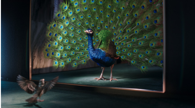 Dawn en Ambassadors creëren nieuwe merkfilm ‘Alleen bij de Bijenkorf’