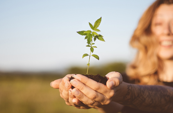 Hennepplaza.com start crowdfunding voor internationale ambities