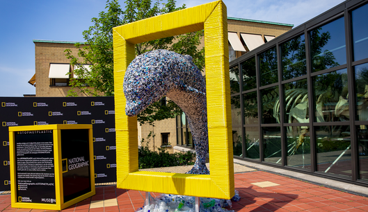 #STOPMETPLASTIC in kunstwerk van National Geographic en Museon
