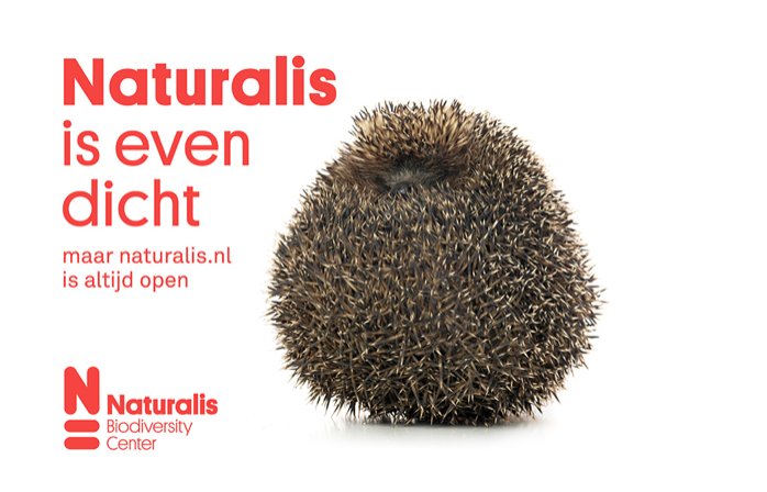 KesselsKramer sust Naturalis in slaap