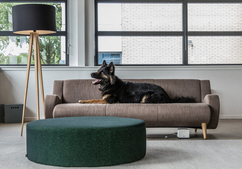 Dept ontwikkelt nieuwe website voor Dierenopvang Amsterdam