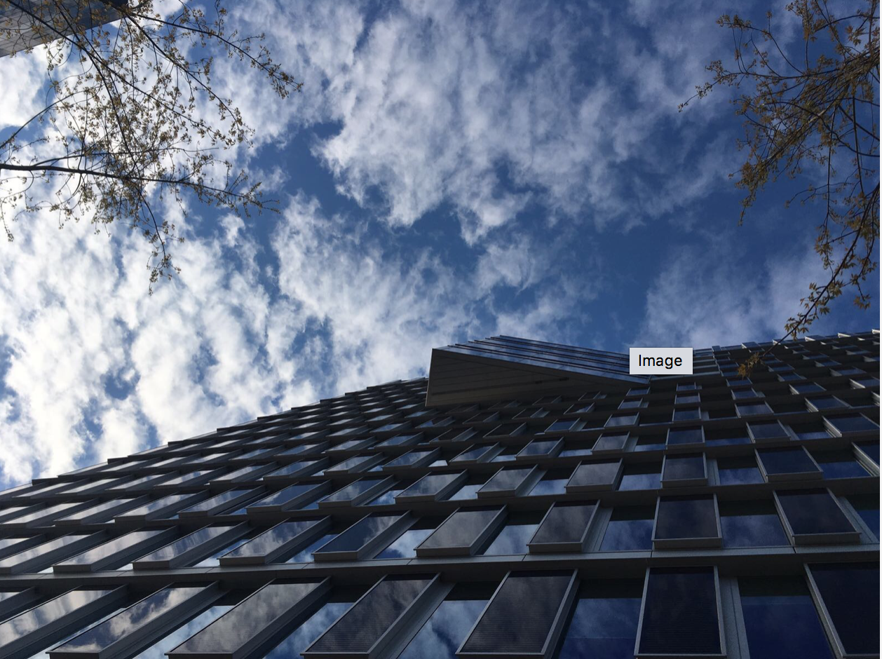 Edelman Amsterdam versnelt investering in Nederlandse activiteiten