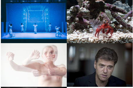 Programma STRP Festival 2019: here's to the future!