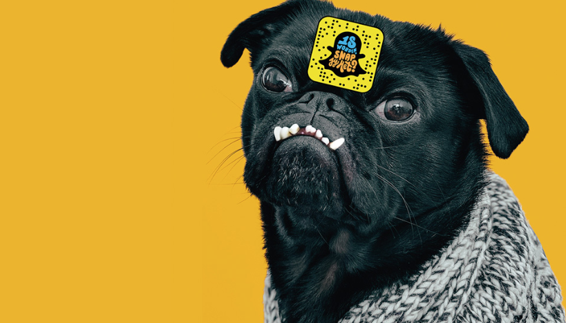 Monty The Gamification Company wint derde poll New Kids on the Block
