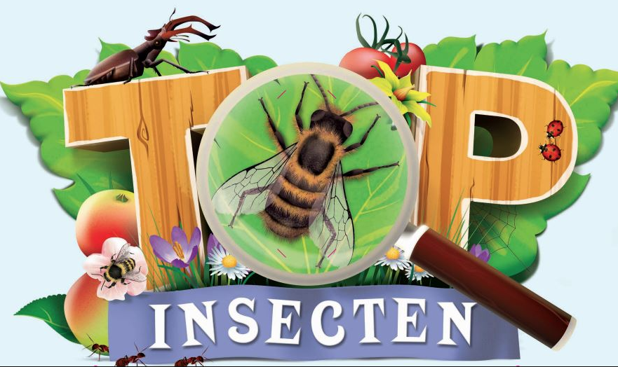 Naturalis en Albert Heijn zetten insecten in de schijnwerpers