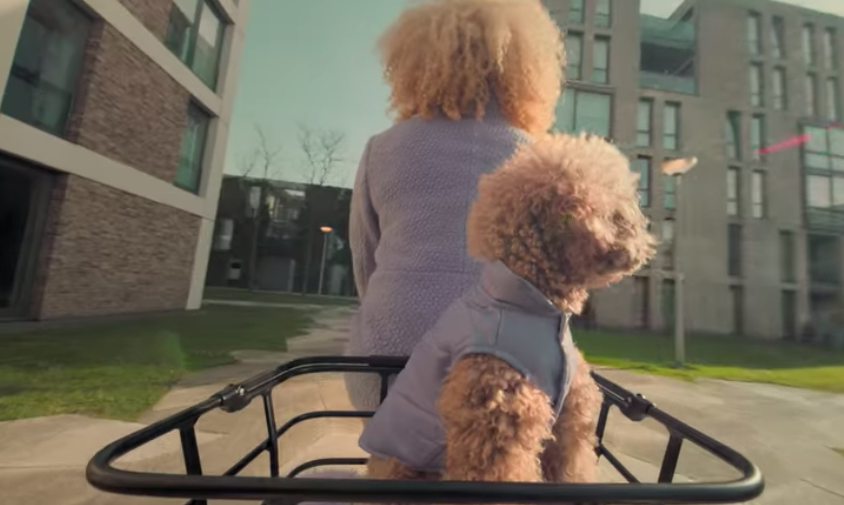 Stroom wint pitch voor Fietsenwinkel.nl