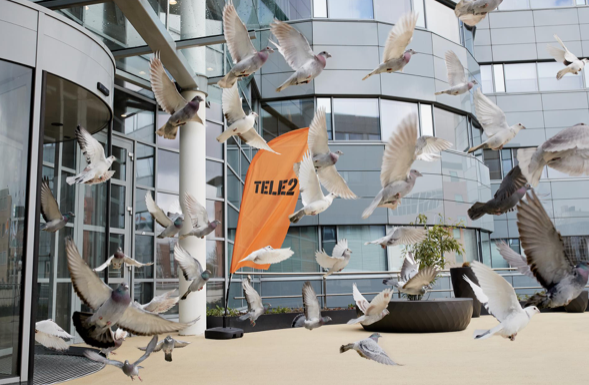 Tele2 Zakelijk luidt de noodklok