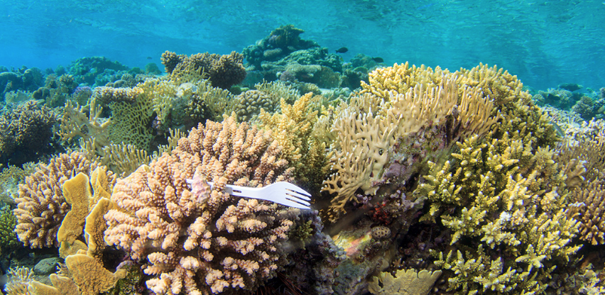 Oceana kiest voor Branding A Better World