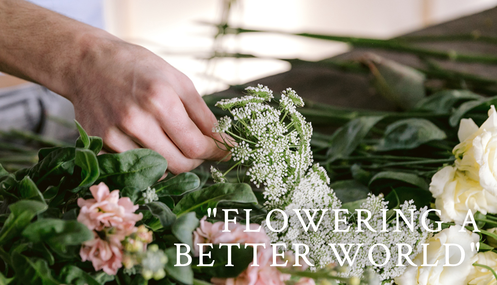The Flower Family gelooft in nieuwe kansen