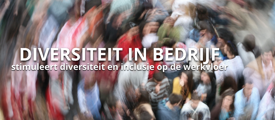 Pünktlich wint pitch Diversiteit in Bedrijf
