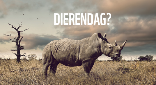 Dierendag vs. Dag dieren