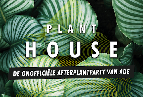 ADE: de onofficiële afterplantparty
