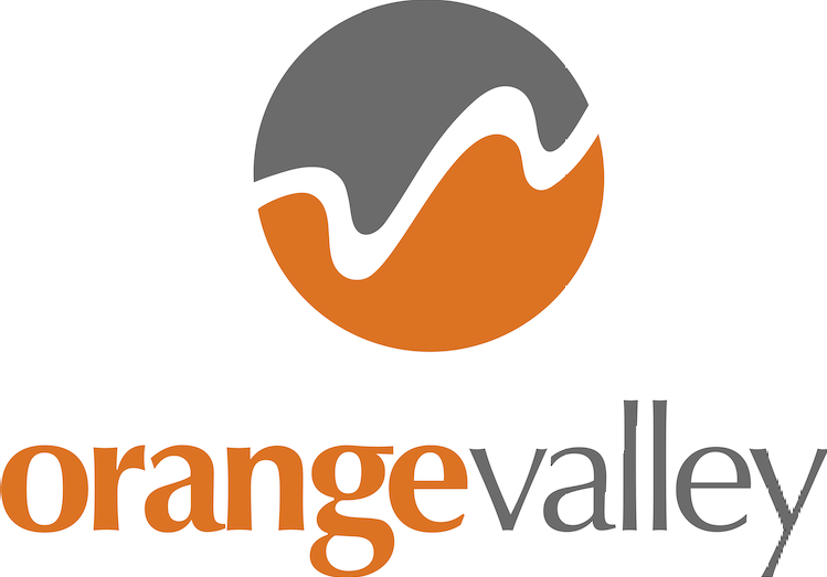OrangeValley sluit partnership met Looker