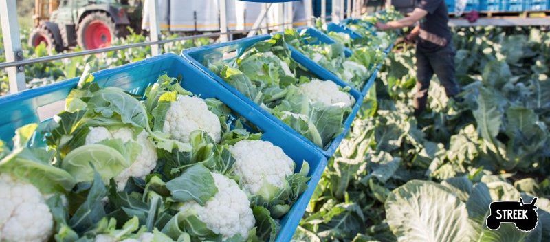 Consumenten willen meer streekproducten in de schappen