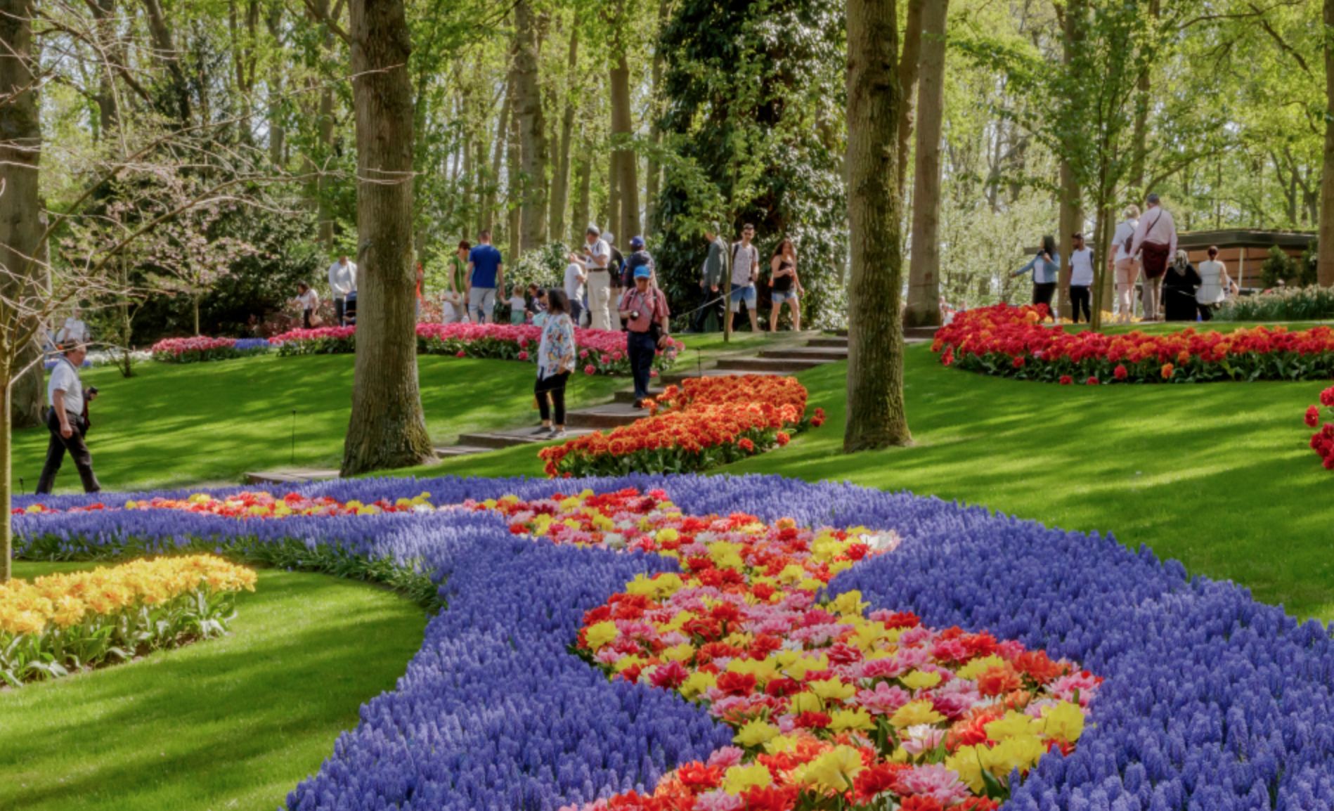Keukenhof kiest Redkiwi als digitaal partner