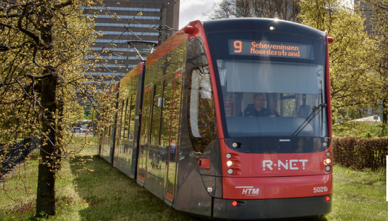 HTM gaat voor digital agency Redkiwi