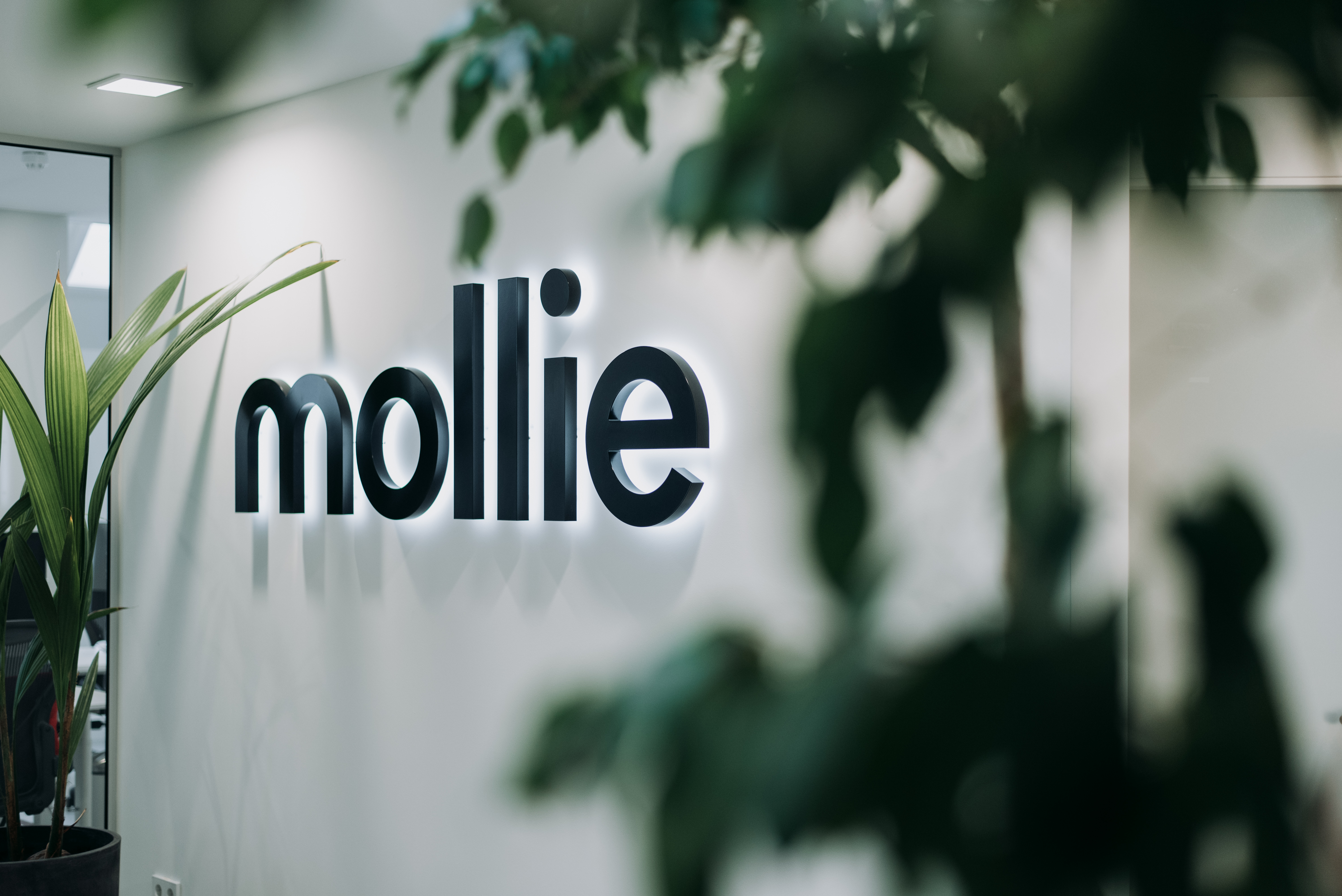 Betaaldienst Mollie steunt ondernemers bij overschakeling naar online verkoop