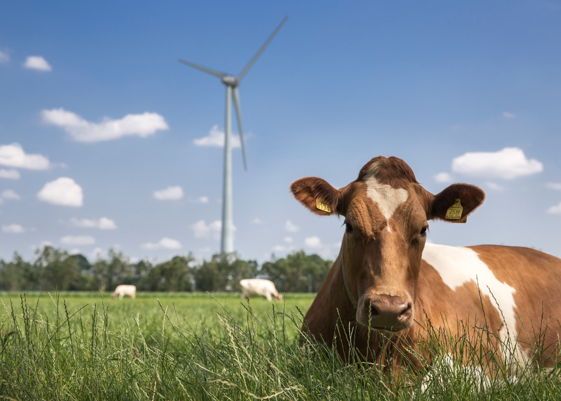 FrieslandCampina trekt €24 miljoen uit voor duurzaamheid boeren