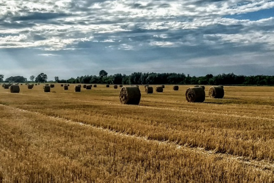 Kennis over sector voor boeren steeds belangrijker bij keuze leveranciers