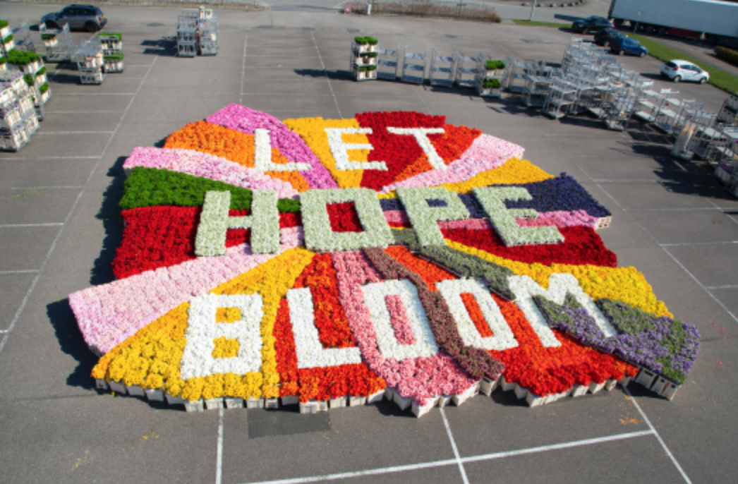 Andaz gaat samenwerking aan om tulpenindustrie te steunen