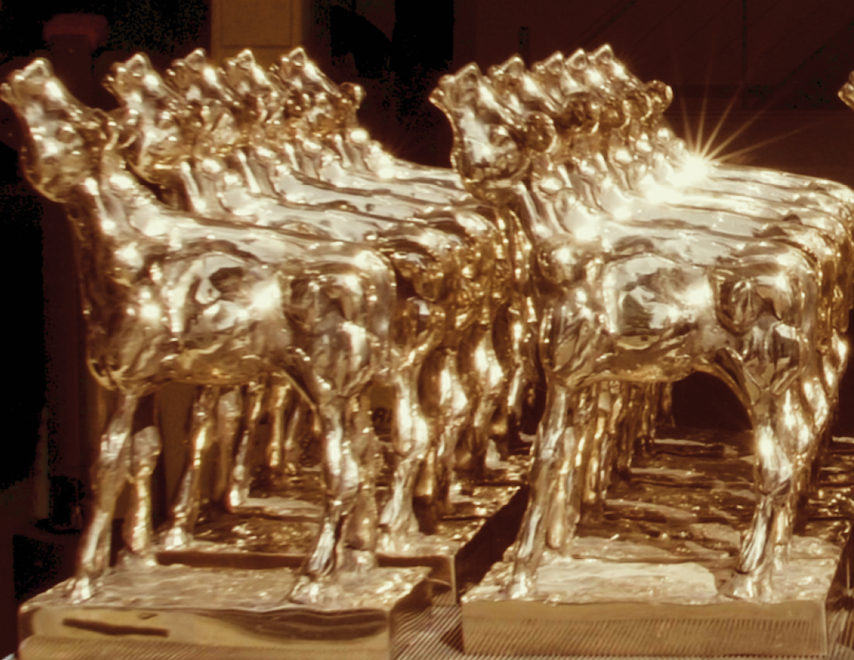 Selectie Gouden Kalf documentaires en korte films 2020 bekend