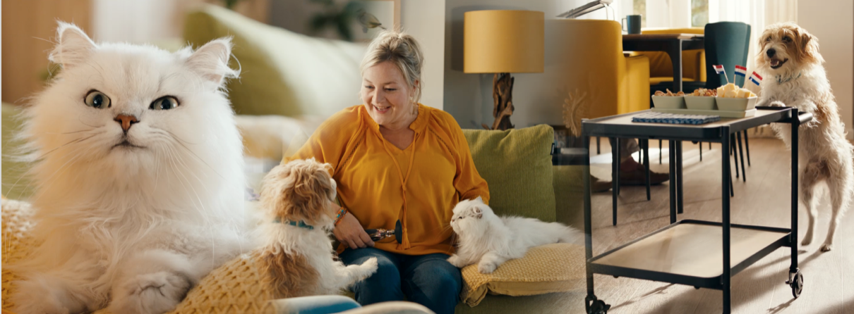 OHRA huisdierencampagne ‘Slimme hond, slimme kat’