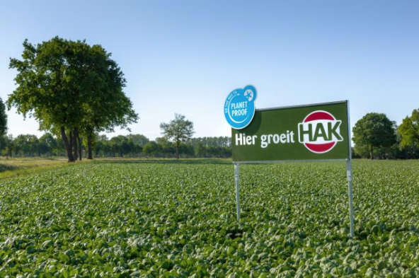 HAK schaalt lokale teelt kidneybonen in Zeeuws-Vlaanderen verder op