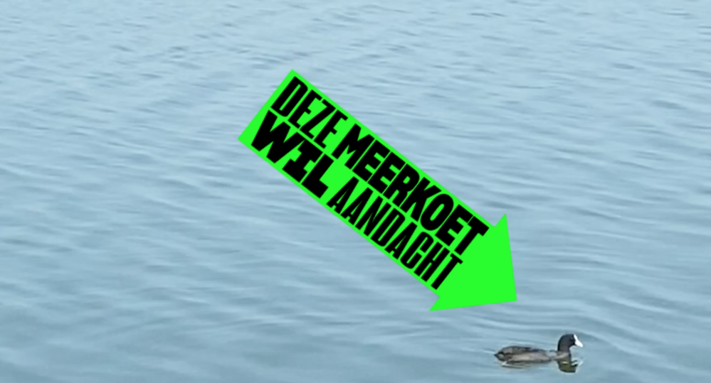 Aarde zoekt leden