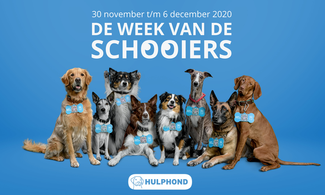 Fightclub en Hulphond Nederland schooien om donaties