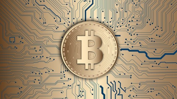 Beleggen en traden in bitcoins niet meer alleen een 'mannending'