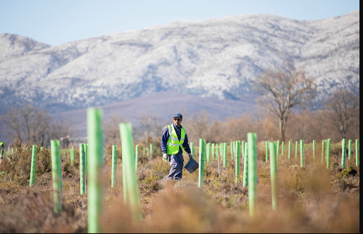 Achmea Innovation Fund investeert in Land Life Company