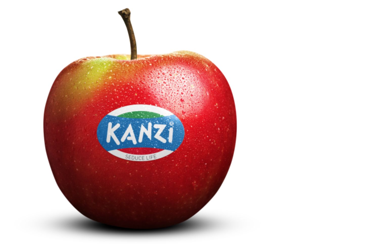 C2B wint pitch Kanzi