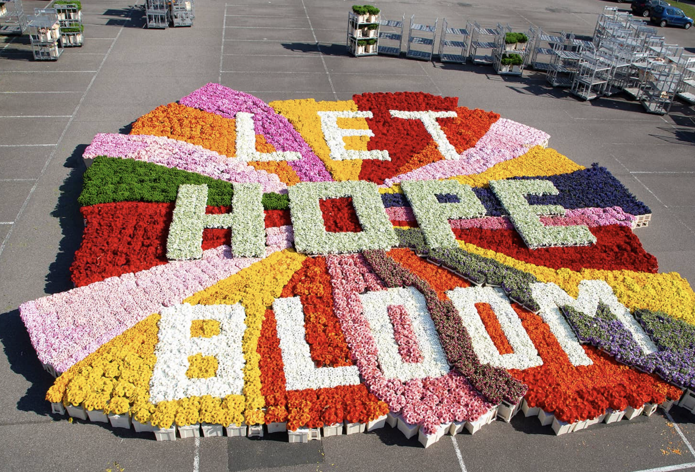Bloemenbureau Holland zegt het met bloemen: Let Hope Bloom