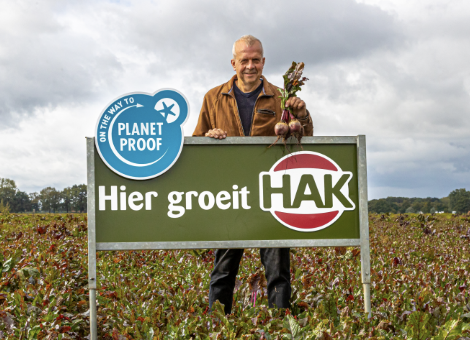 Eerste duurzaam geteelde HAK bieten en boerenkool binnenkort geoogst