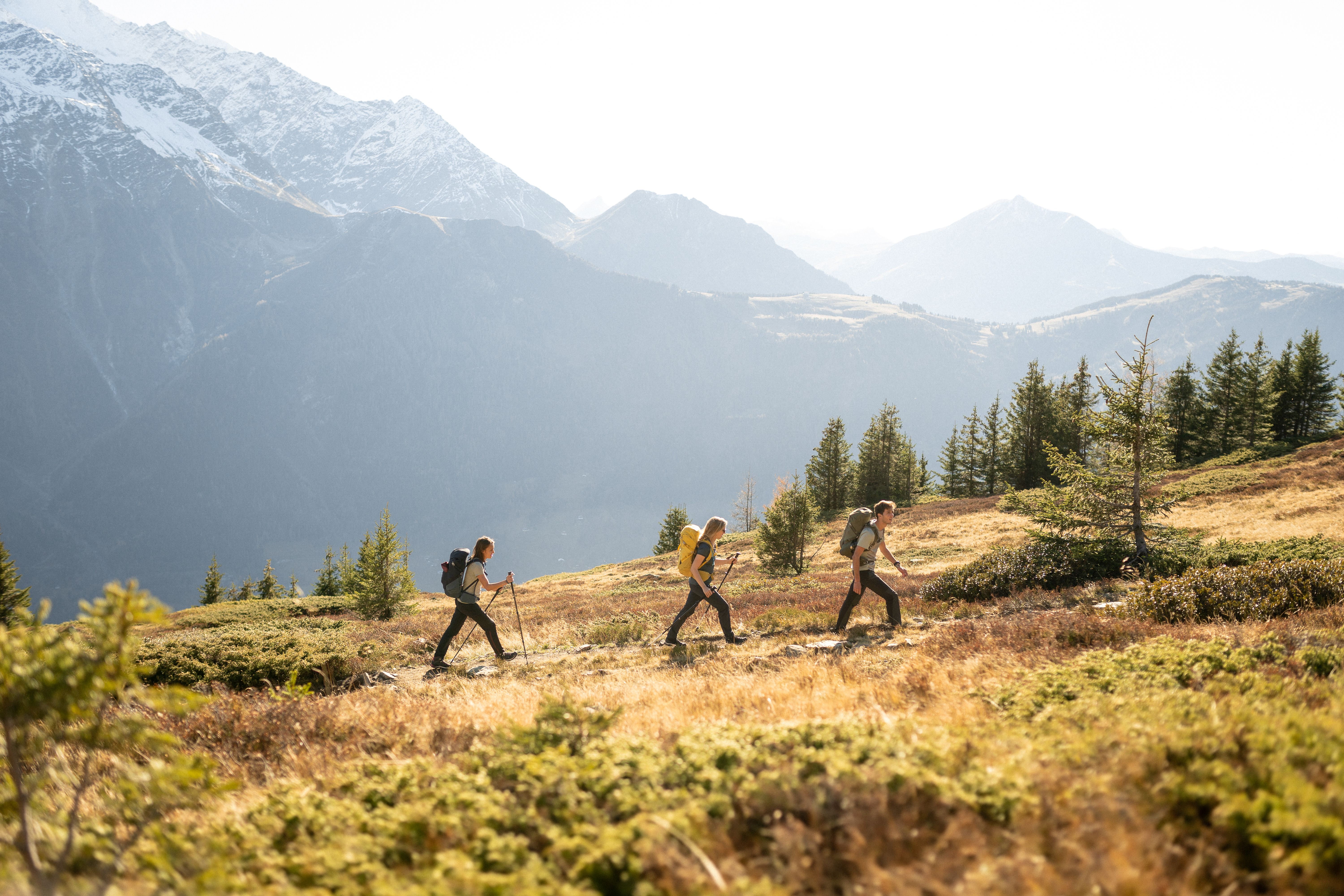 Decathlon zet in op groen met energiecollectief en Trees for All