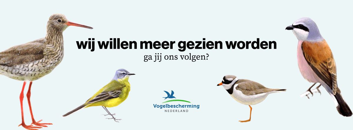 Ocean Outdoor werkt met KesselsKramer aan vogelbekendheid