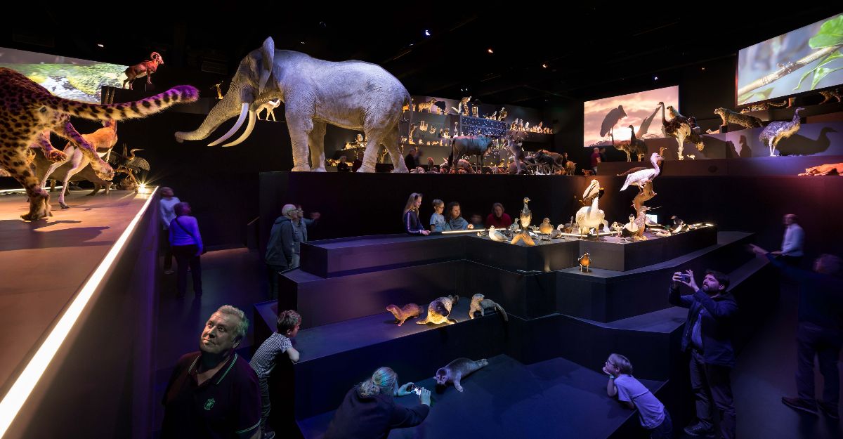 European Museum of the Year Award naar Naturalis en Stapferhaus