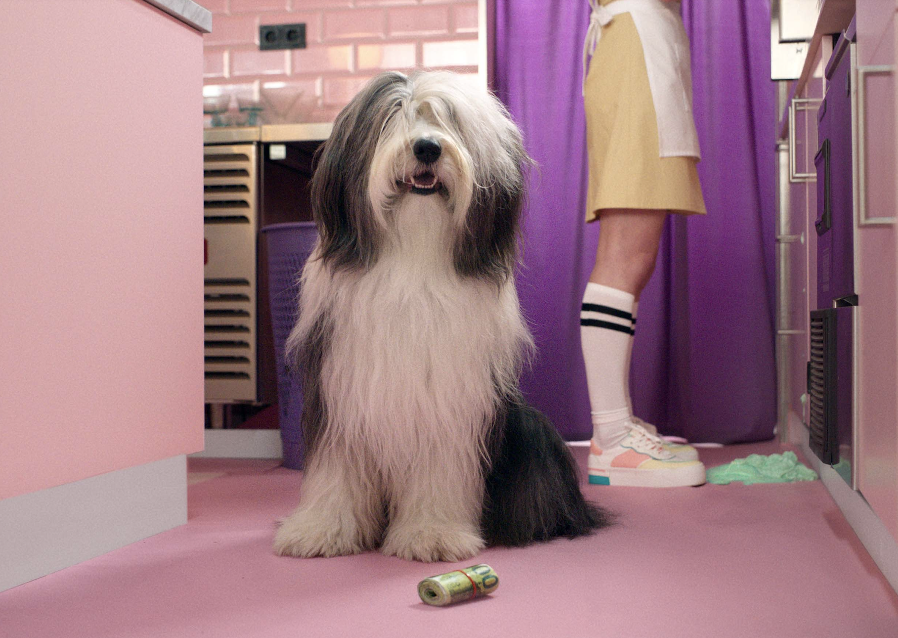 BridgeFund lanceert ‘Make Money Smile’-campagne