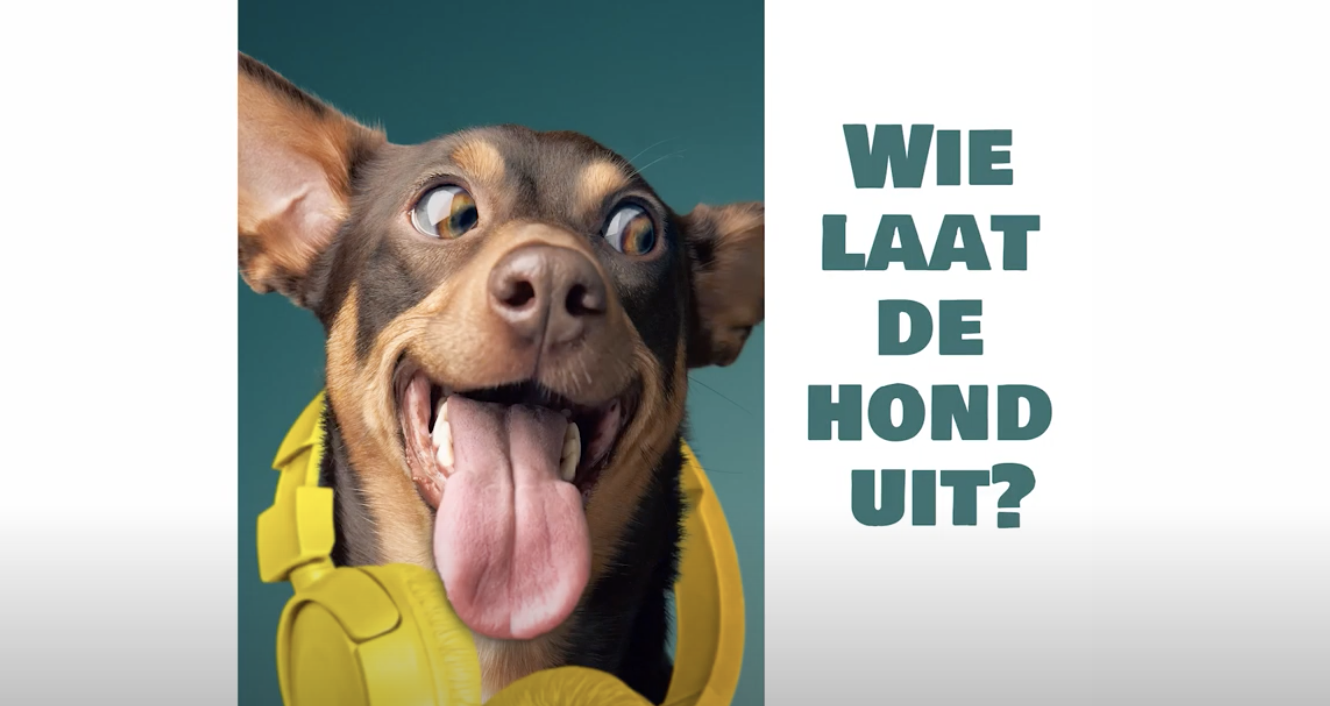 Nieuw voor hondenliefhebbers: podcast 'Wie laat de hond uit?'