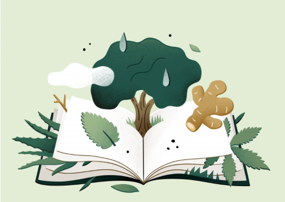 Nieuwe podcast over eeuwenoude ingrediënten uit de natuur