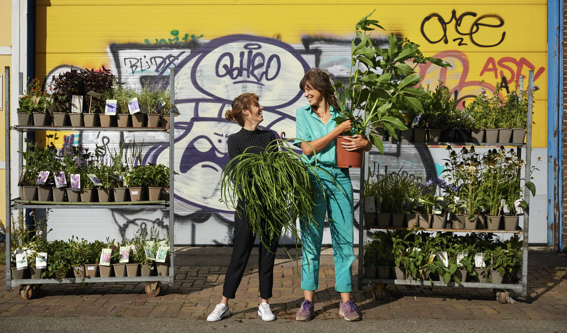 Sprinklr genomineerd bij Coolest Dutch Brands 2021