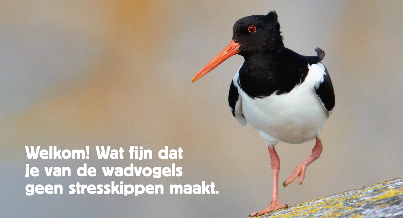 De Wadden. Voor vrije vogels. En mensen.