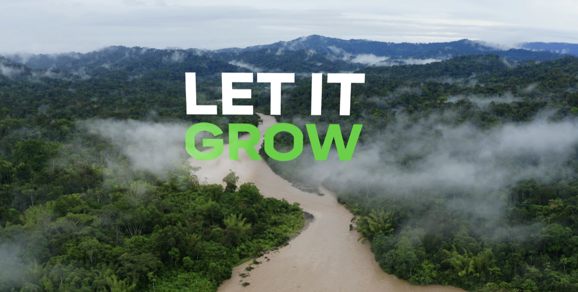 NPO 3FM Serious Request met Wereld Natuur Fonds in actie tegen klimaatverandering